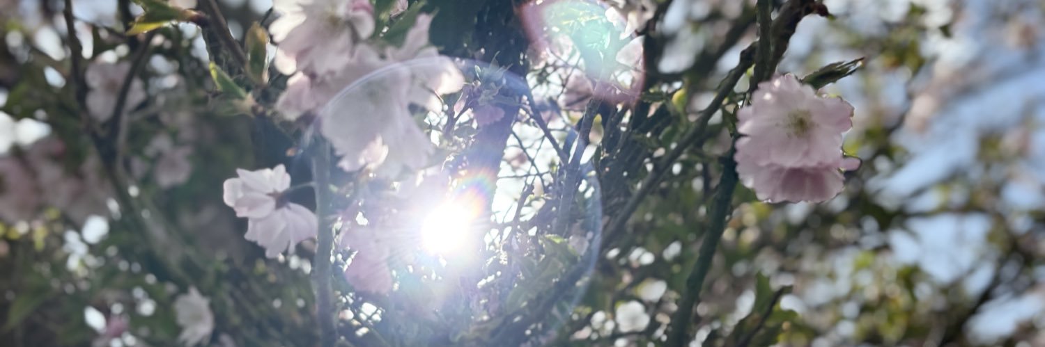 Eirian27's profile banner image