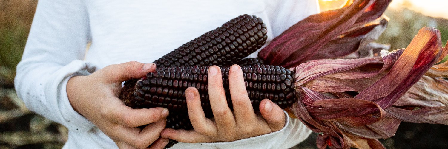 gopurplecorn's profile banner image