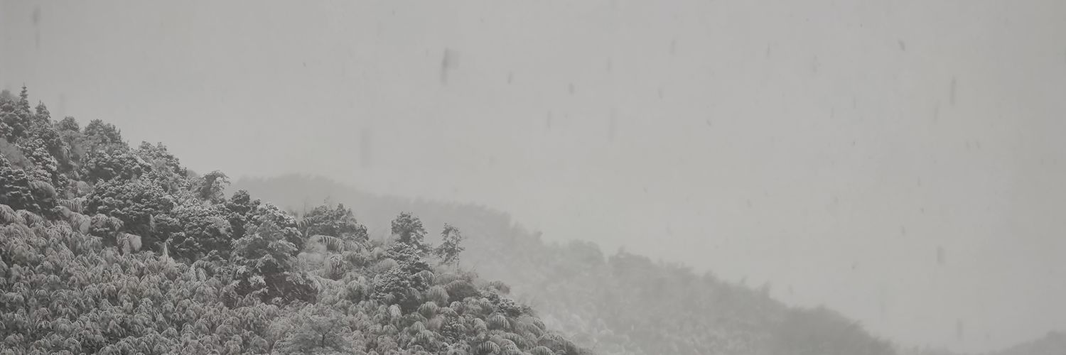 sui_z's profile banner image