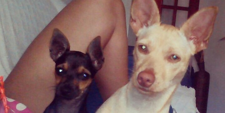 RocioQdlFuente's profile banner image