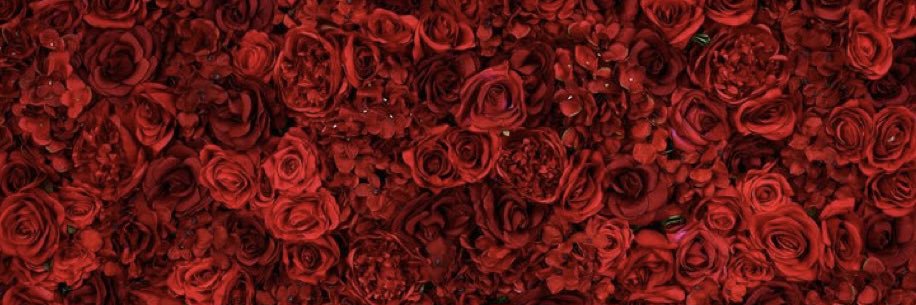 kyla_ellyn's profile banner image