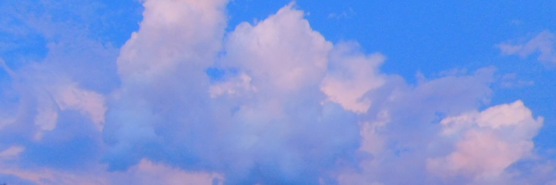 MeganEiynck's profile banner image