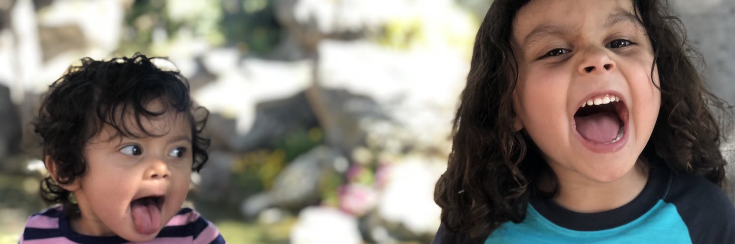 INDOGORILLA's profile banner image