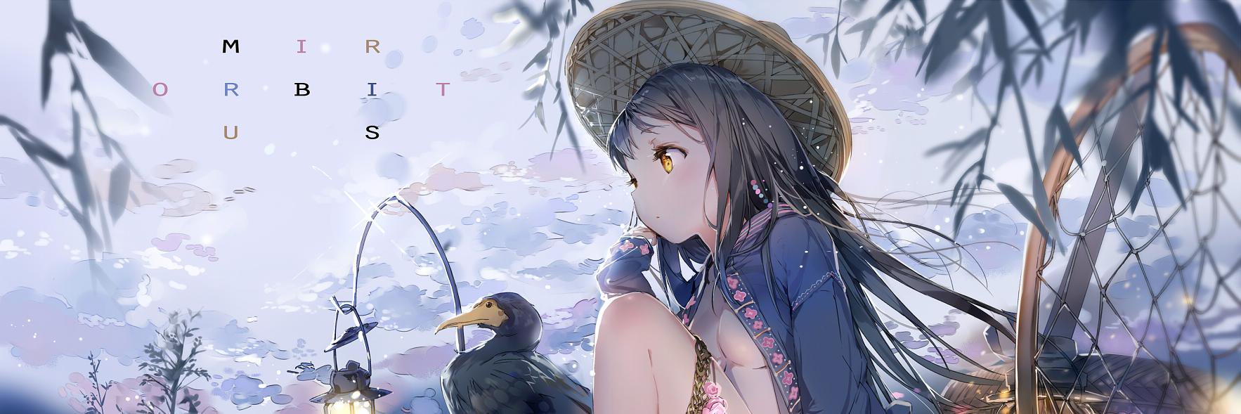Albedo banner