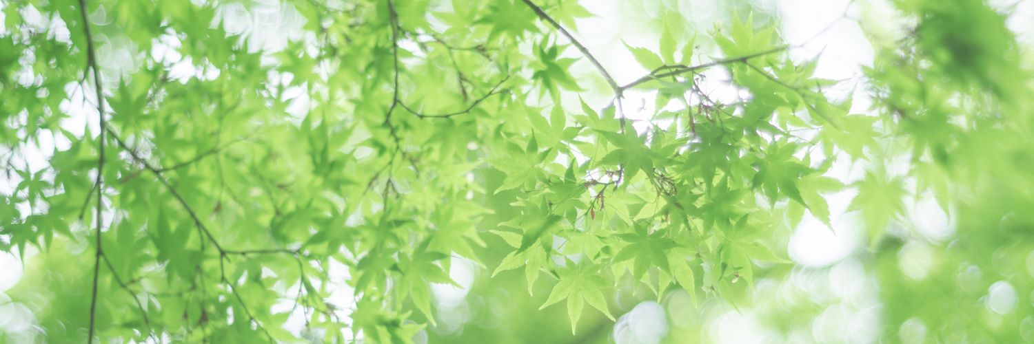 3maaluu's profile banner image