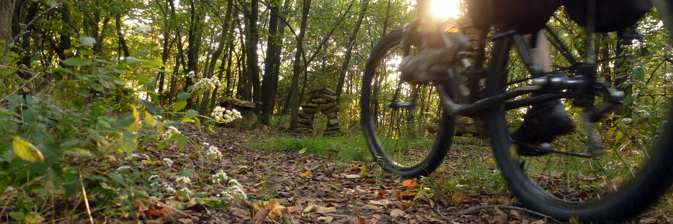 Lehigh Trails banner