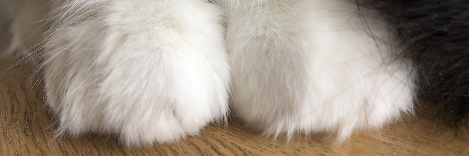 GeeksKick's profile banner image