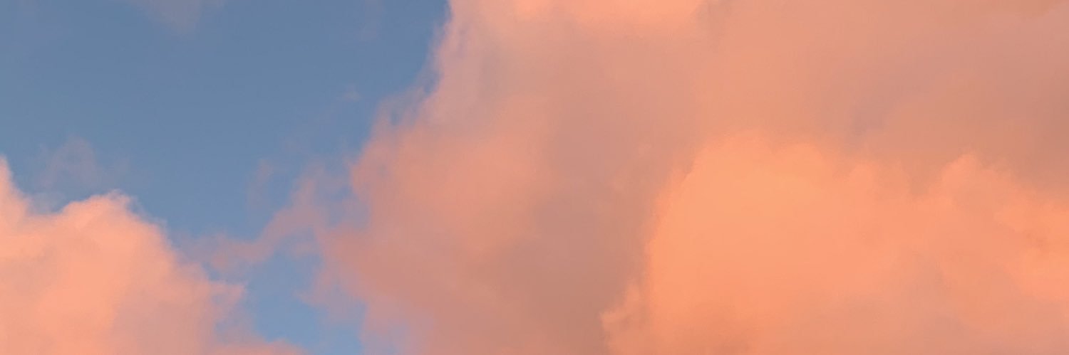 riley_ande's profile banner image