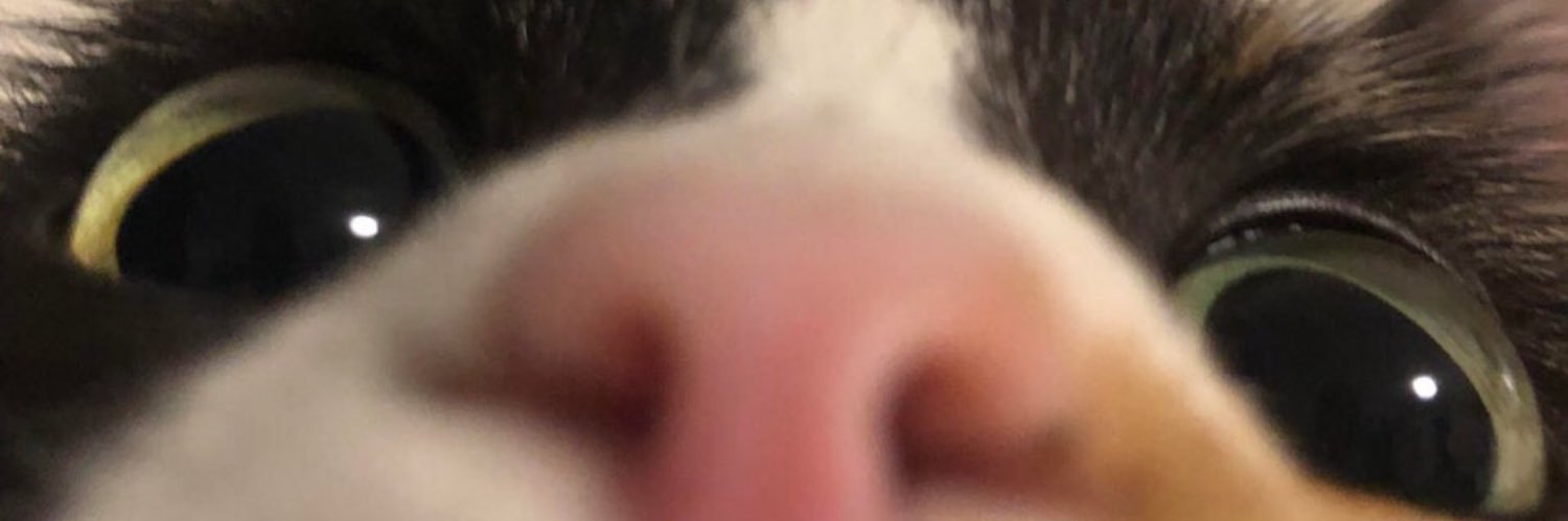 martariscart's profile banner image