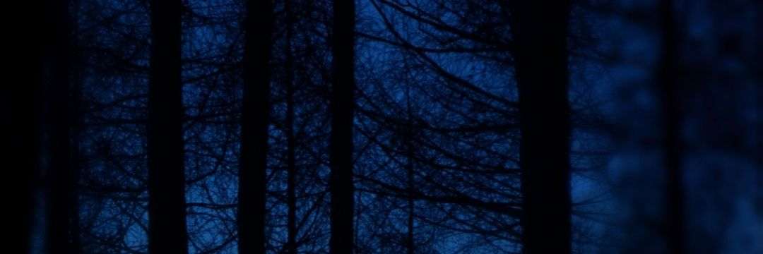 DaiMon_Mind's profile banner image