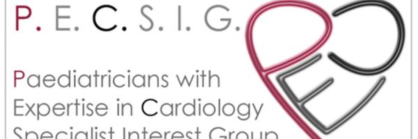 pec_sig Profile Banner