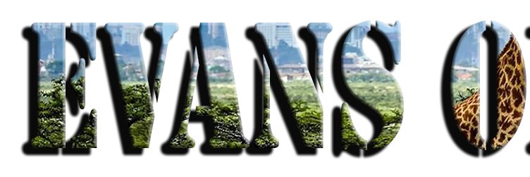 Evansomede's profile banner image