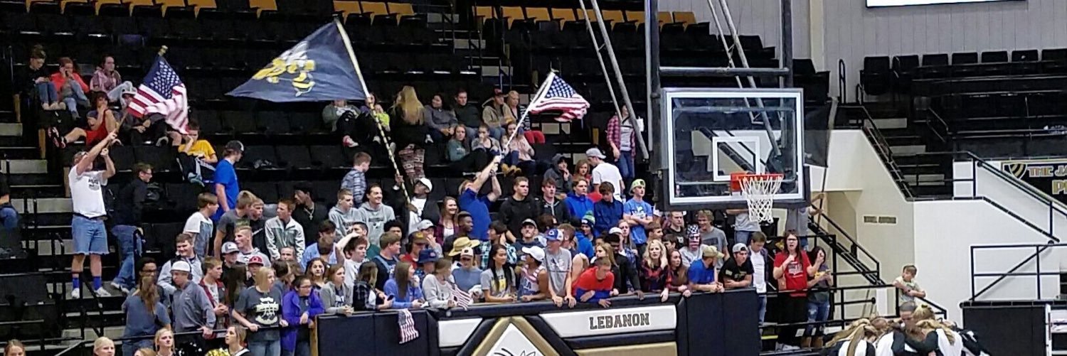 Yellowjacket Swarm banner