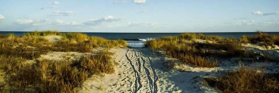 breezabeach's profile banner image