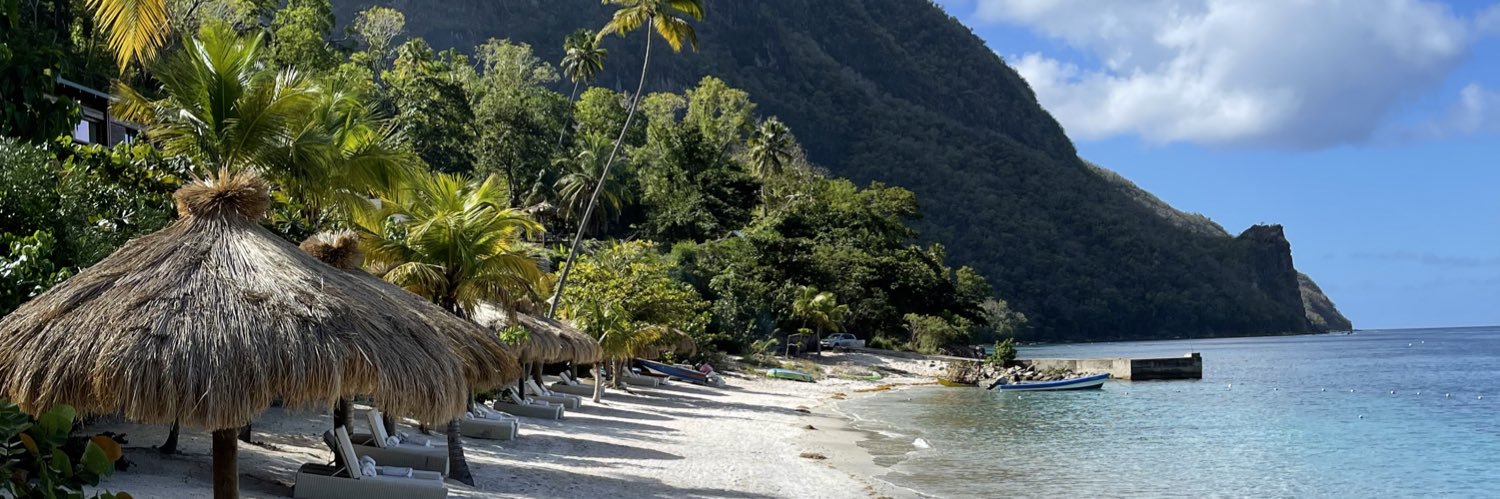 The Bearded Trader banner