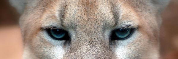 BryanAdamsHS Profile Banner