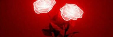 haniiadem's profile banner image