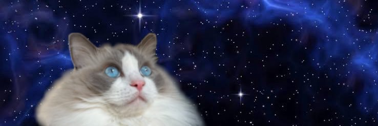 high_low_man's profile banner image