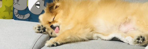 moncherchaton Profile Banner