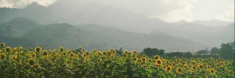 ___wanderers___'s profile banner image
