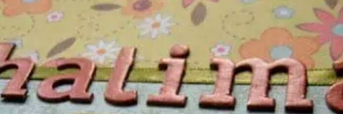 halie_sibe's profile banner image