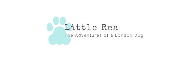 Little Rea banner