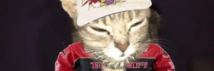 🎴RetroMister🎴 banner