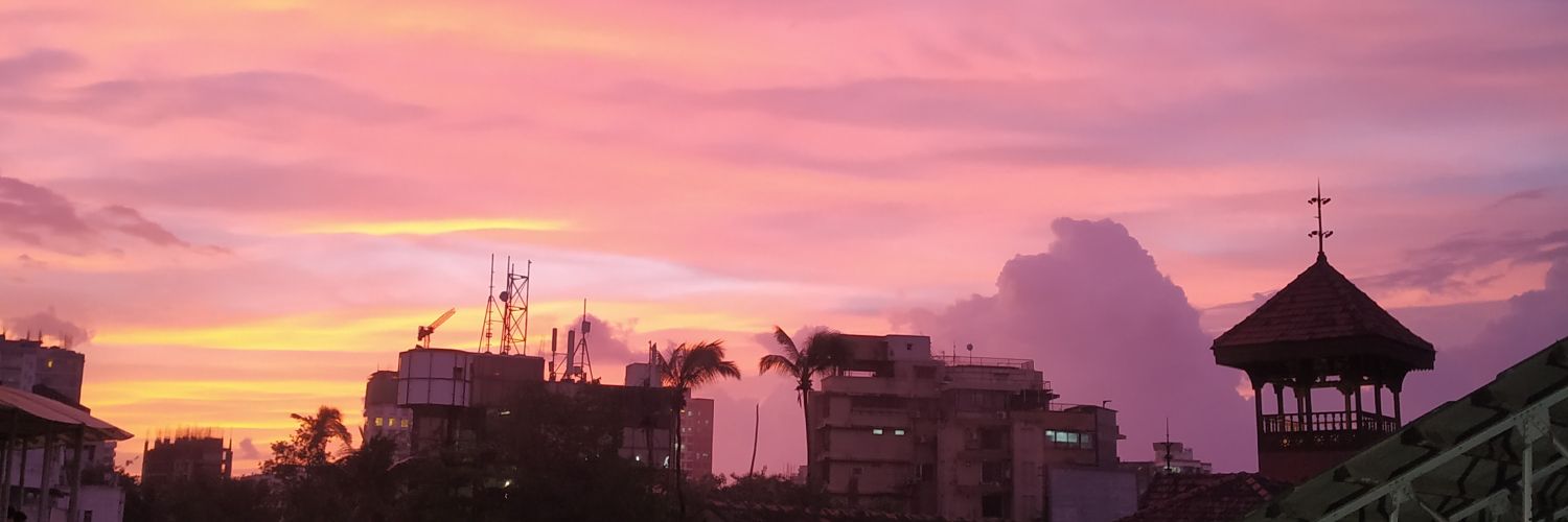 Not Your Housekeeper banner