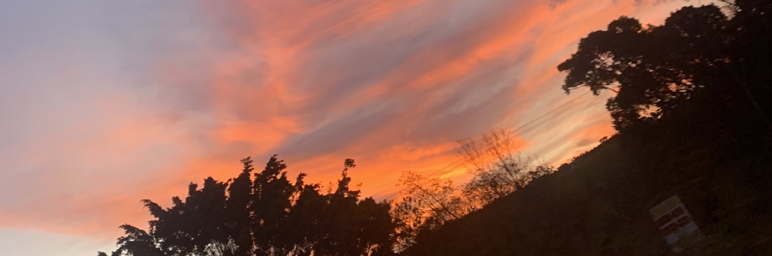 Elen Taís banner