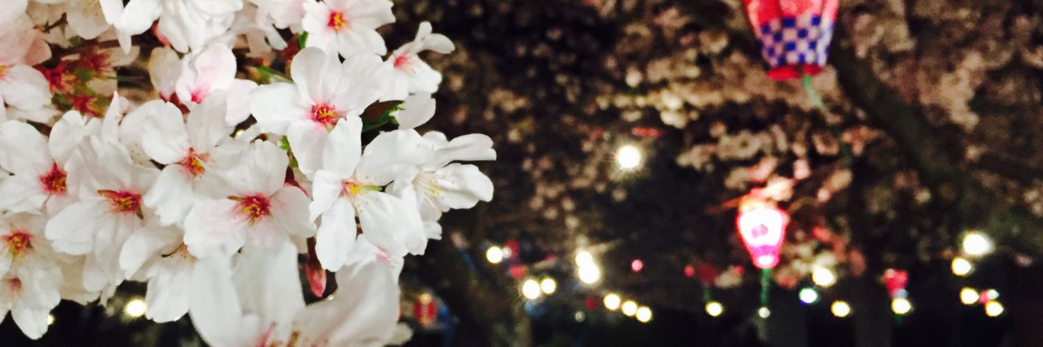 choppoppeeer's profile banner image