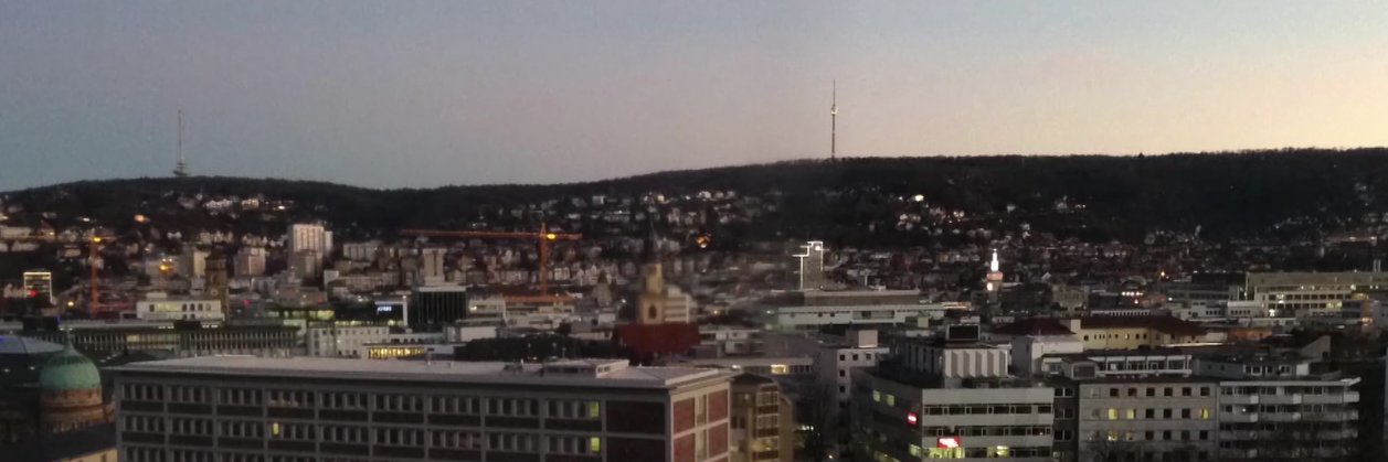 Elena Riedlinger banner