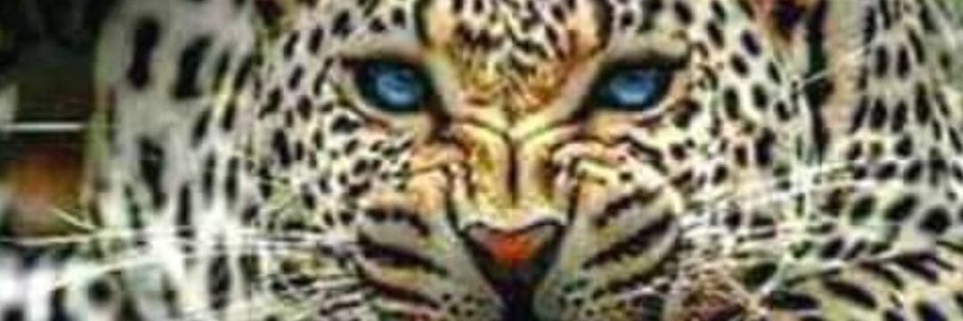MmakgoadiR's profile banner image