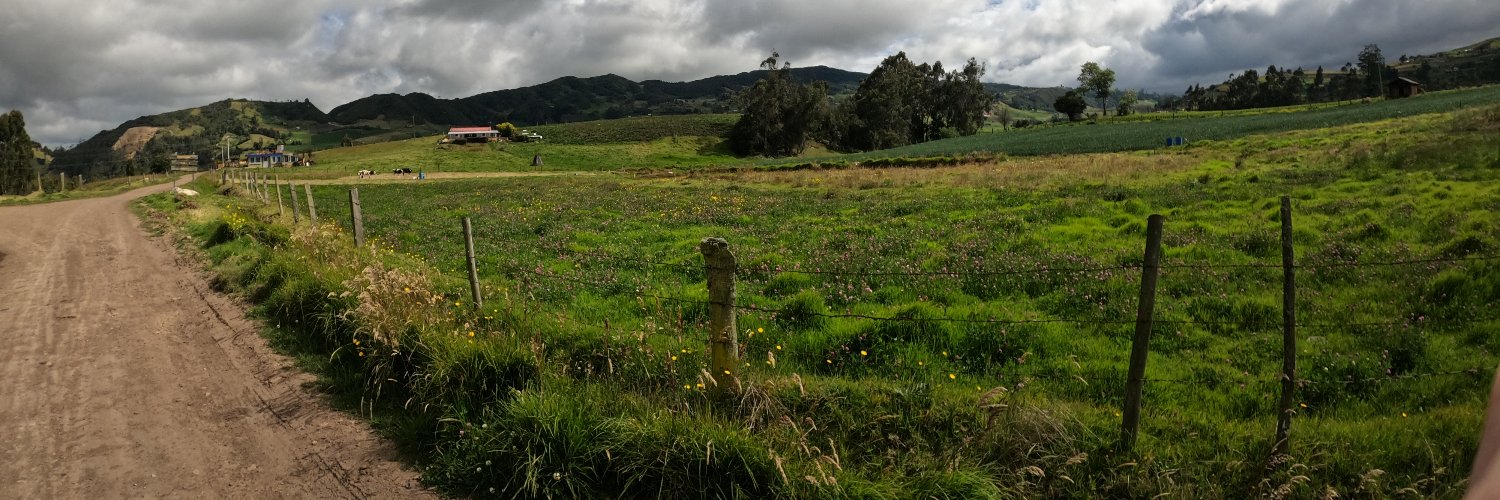 AlejoRochac's profile banner image