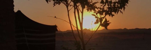 f___f_00's profile banner image