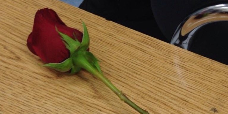 roseproject740's profile banner image