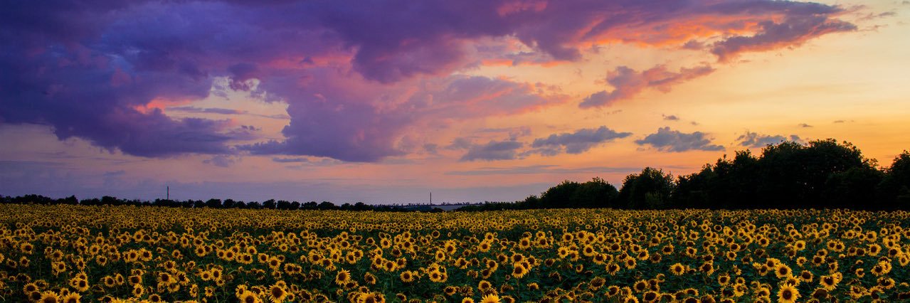 _Angeliquetho's profile banner image