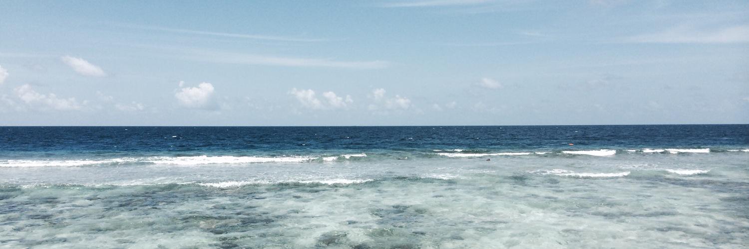 steph_sproule's profile banner image
