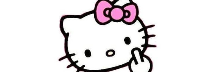 shaaanhy's profile banner image