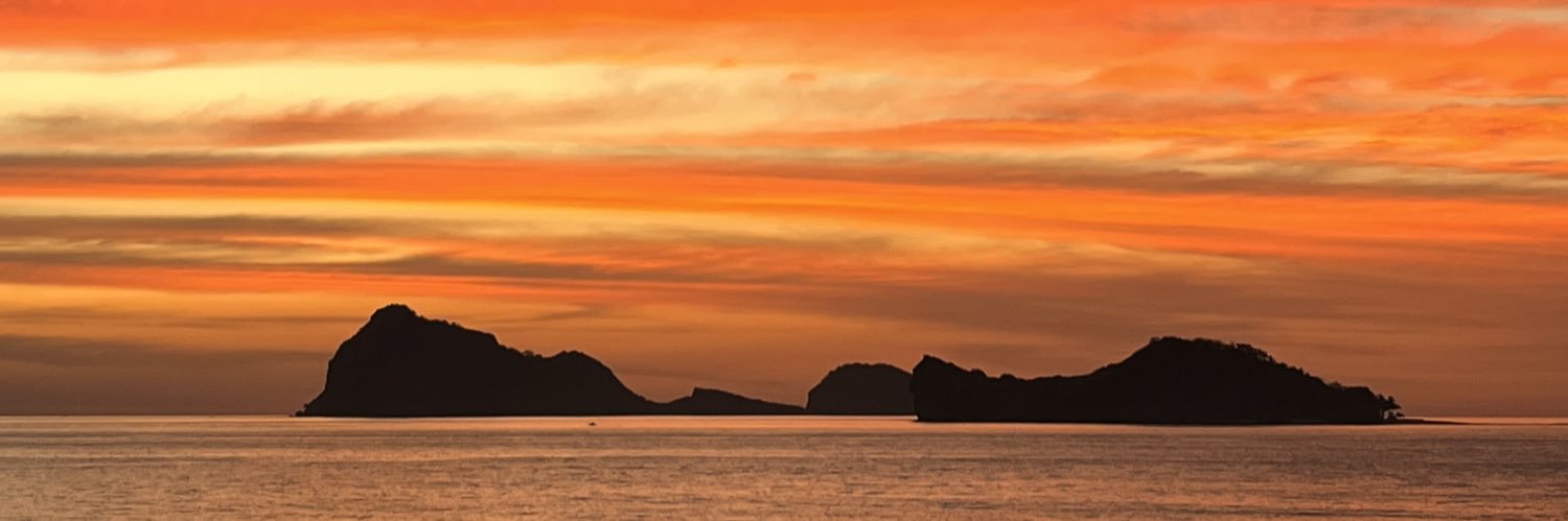 AnneeeErni's profile banner image