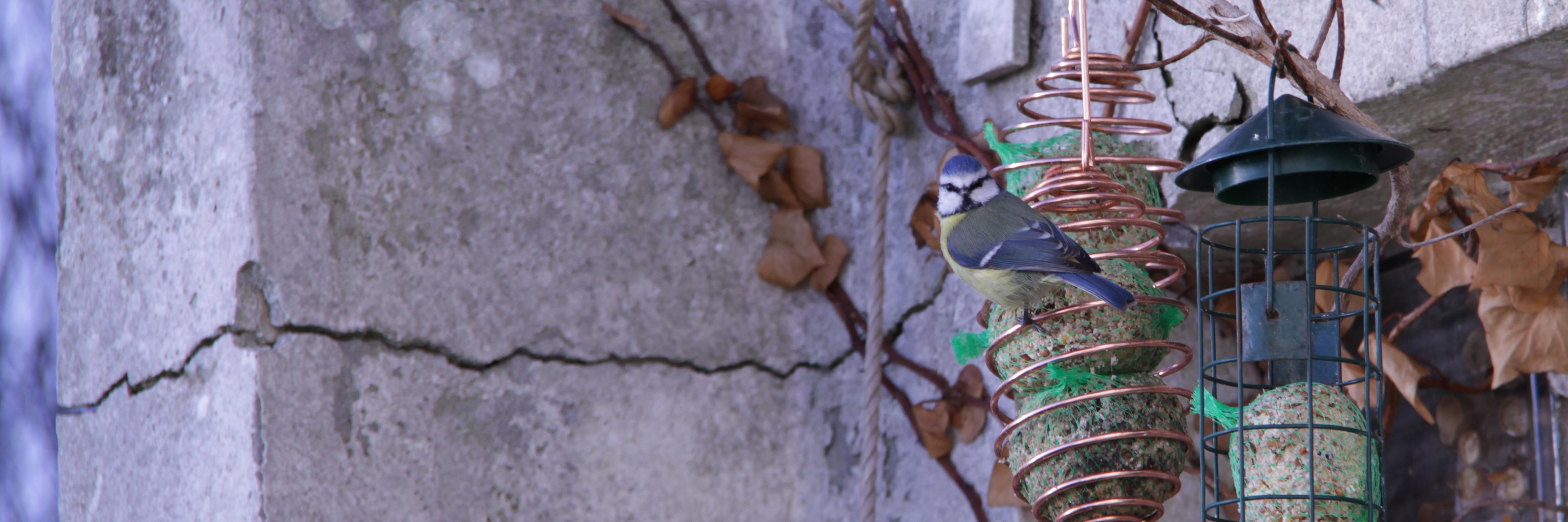 ThierryC_Critwe's profile banner image