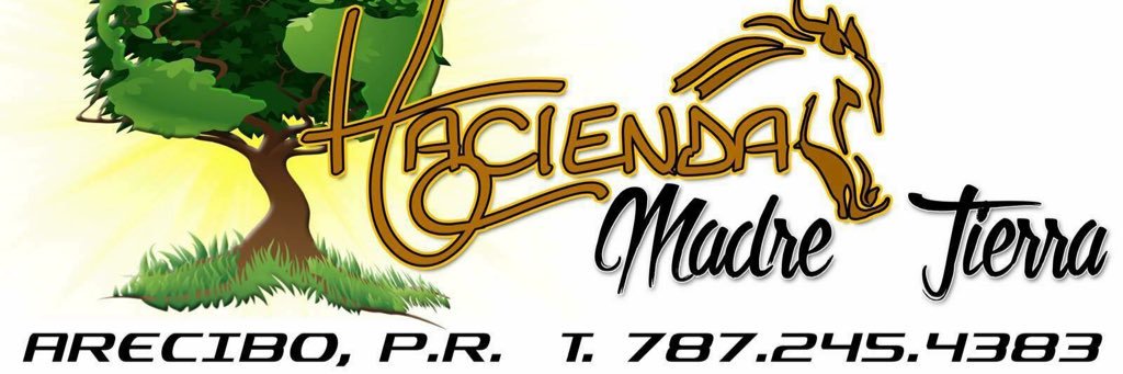 AlfredMaximum's profile banner image