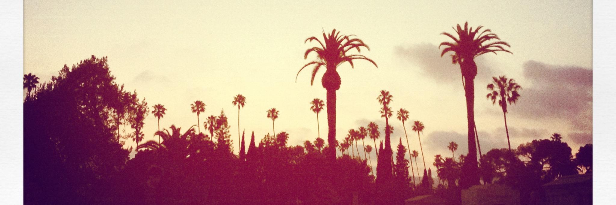 _katiepage_'s profile banner image