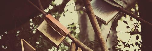Clary_HJ's profile banner image