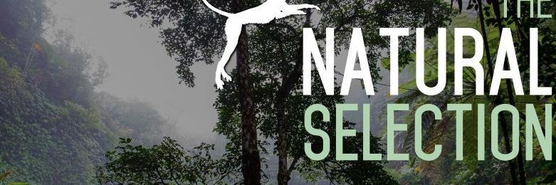 Natural Selection banner
