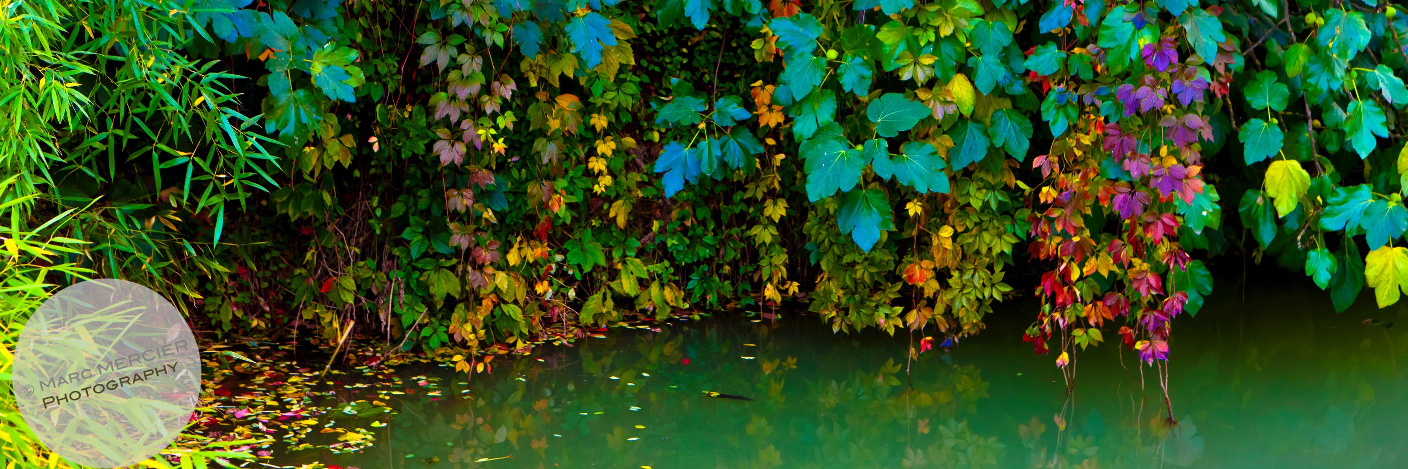 mphot31's profile banner image