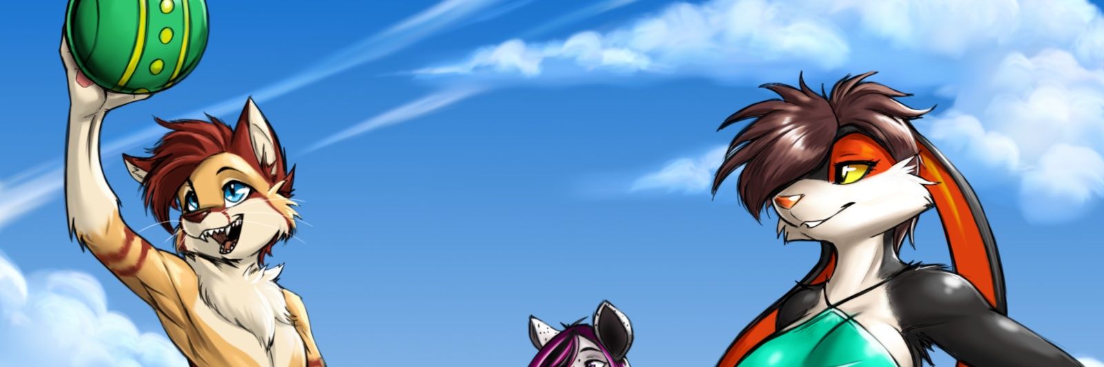 mrbenjicat's profile banner image