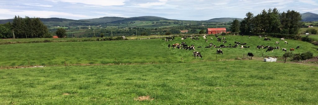 GerardmccarthyD's profile banner image