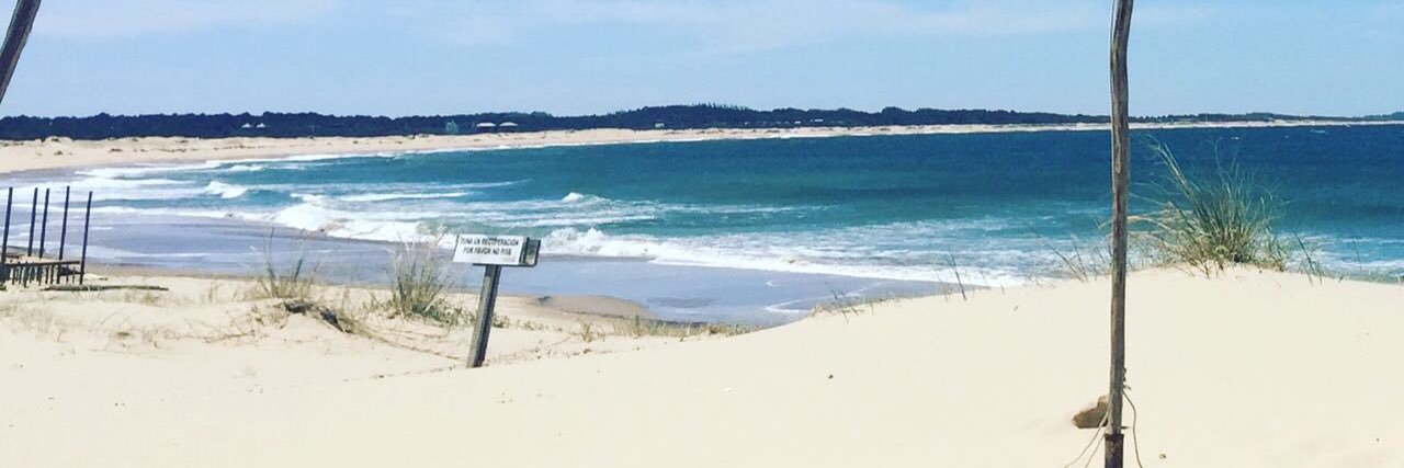 Martin Pittaluga banner