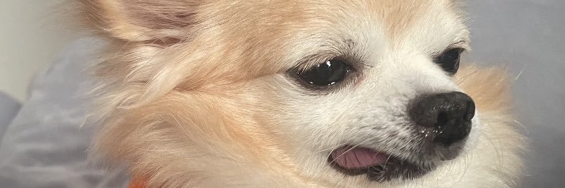 takeoooppi's profile banner image