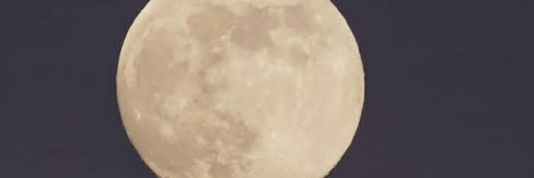 Rn6k8's profile banner image